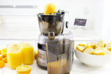 Hands Free Cold Pressed Batch Juicer With Heavy Duty Motor with Citrus Juicer